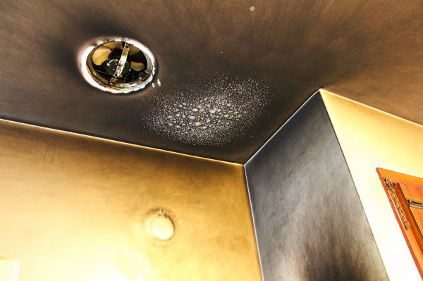 Smoke Cleanup Service in Mason